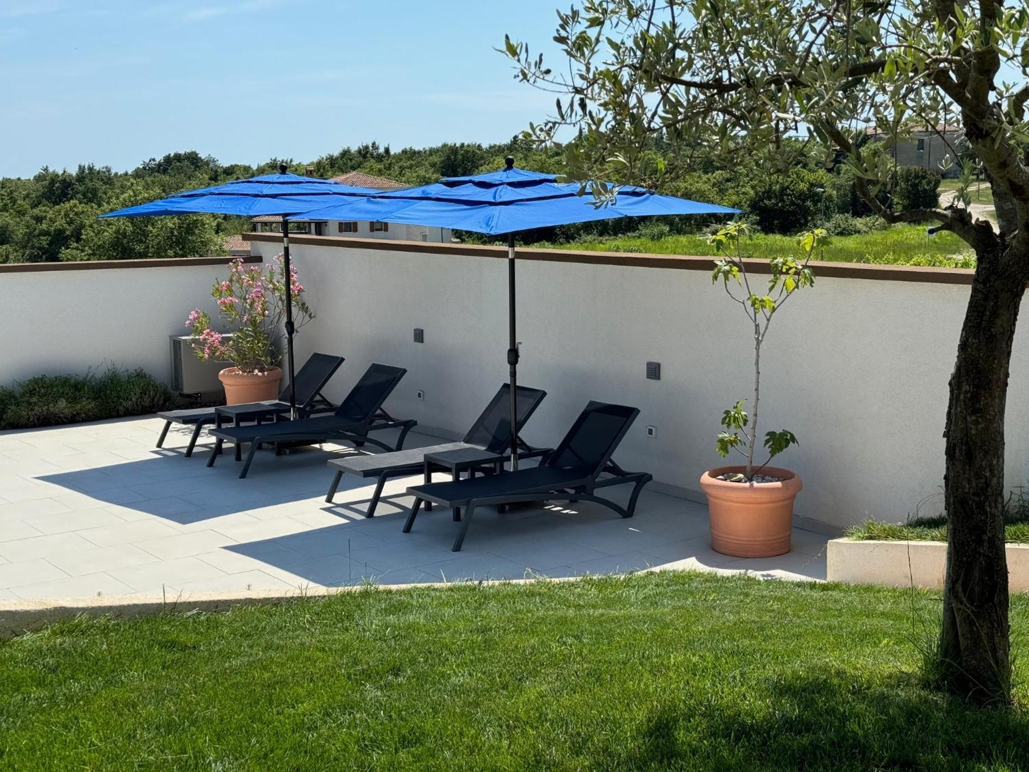 Villa Victoria Istra - Heated Pool Nova Vas  Ngoại thất bức ảnh